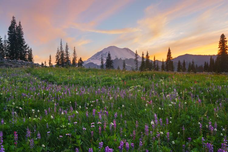 Mount Rainer at sunset