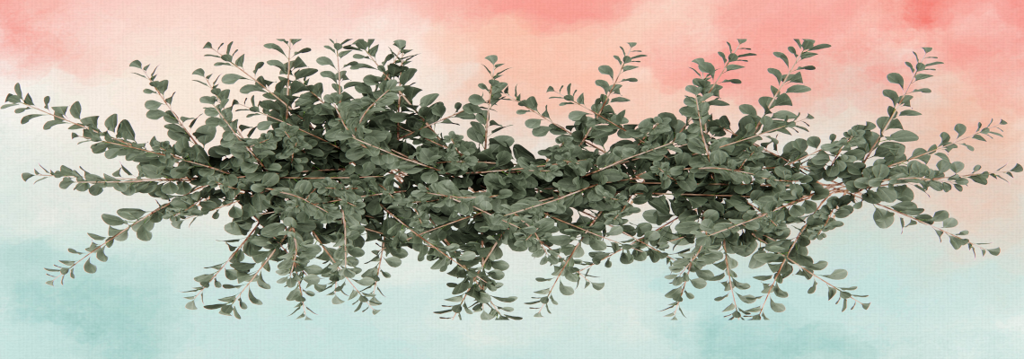 Eucalyptus leaves over a watercolor background